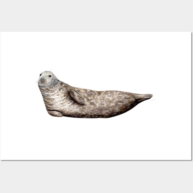 Grey seal Wall Art by chloeyzoard